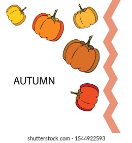 Autumn card, orange pumpkins, vector background. Halloween illustration. October harvest. Nature design.