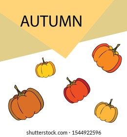 Autumn card, orange pumpkins, vector background. Halloween illustration. October harvest. Nature design.