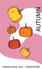 Autumn card, orange pumpkins, vector background. Halloween illustration. October harvest. Nature design.