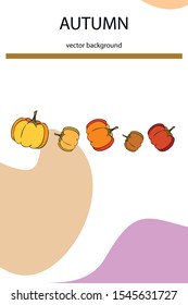 Autumn card, orange pumpkins, vector background. Halloween illustration. October harvest. Nature design.