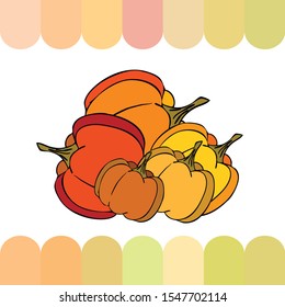 Autumn card, orange pumpkins, vector background. Halloween illustration. October harvest. Nature design.