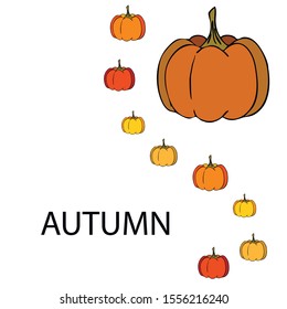 Autumn card, orange pumpkins, vector background. Halloween illustration. October harvest. Nature design.