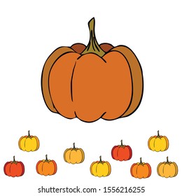Autumn card, orange pumpkins, vector background. Halloween illustration. October harvest. Nature design.