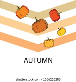 Autumn card, orange pumpkins, vector background. Halloween illustration. October harvest. Nature design.
