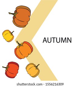 Autumn card, orange pumpkins, vector background. Halloween illustration. October harvest. Nature design.
