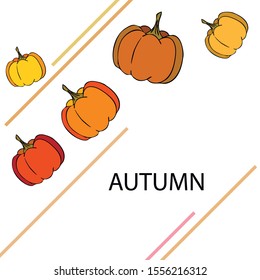 Autumn card, orange pumpkins, vector background. Halloween illustration. October harvest. Nature design.