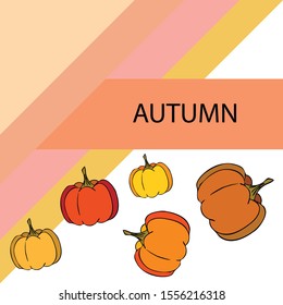 Autumn card, orange pumpkins, vector background. Halloween illustration. October harvest. Nature design.