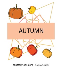 Autumn card, orange pumpkins, vector background. Halloween illustration. October harvest. Nature design.