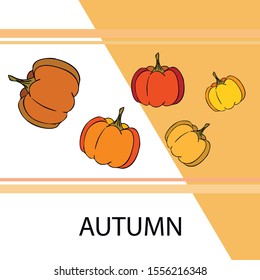 Autumn card, orange pumpkins, vector background. Halloween illustration. October harvest. Nature design.
