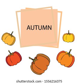 Autumn card, orange pumpkins, vector background. Halloween illustration. October harvest. Nature design.