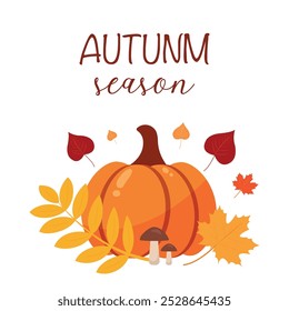 Autumn card with pumpkin. Autumn season. Lettering. Vector design