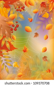Autumn card with spider web, vector illustration