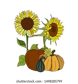 Autumn card. Sunflowers and pumpkins.