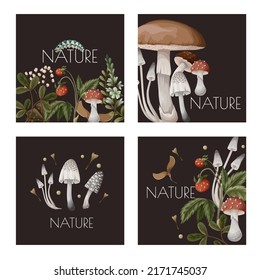 Autumn cards with mushrooms, berries and bugs. Natural trendy print