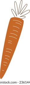 Autumn Carrot Vegetable Vector Illustration