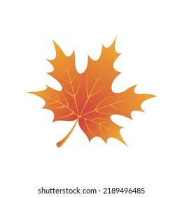 autumn cartoon leaf vector illustration design