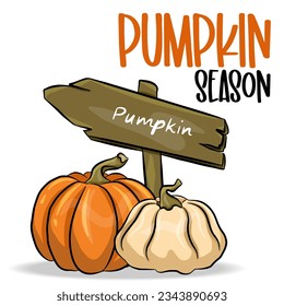 Autumn cartoon pumpkins and wooden signboard. illustration of fall harvest with blank signpost on white background.Hello autumn poster, fall festival or Thanksgiving banner template.