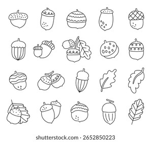 Desenho animado de outono definido em esboço de arte com bolotas bonitas e folhas de carvalho caindo de árvores da floresta para decorações sazonais acolhedoras e seus projetos de ilustração e design criativo