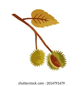 Autumn chestnut branch with leaf and fruit in shell. Fall twig with leaves. Sprig of food plant. Flat vector illustration of autumnal decorative design element isolated on white background svg