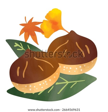 Autumn chestnut frame illustration background