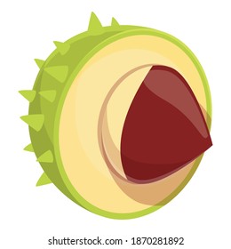 Autumn chestnut icon. Cartoon of autumn chestnut vector icon for web design isolated on white background