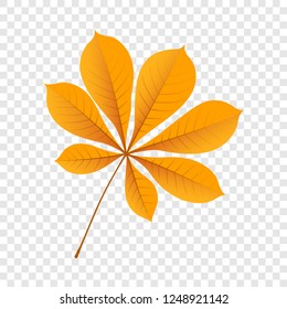 Autumn chestnut leaf icon. Flat illustration of autumn chestnut leaf vector icon for web design