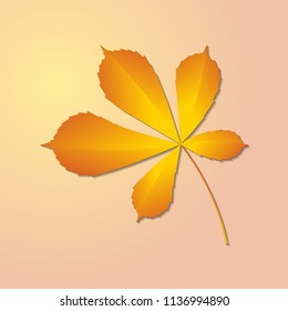 autumn chestnut leaf on a warm background