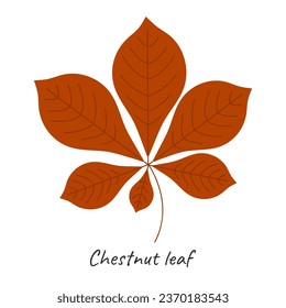 Hoja de castaño de otoño. Ilustración vectorial.