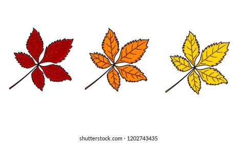 Autumn chestnut leaves of different colors 