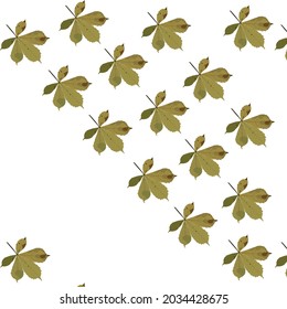 Autumn chestnut leaves in the wind. Seamless pattern. Vector stock illustration isolated on white background.