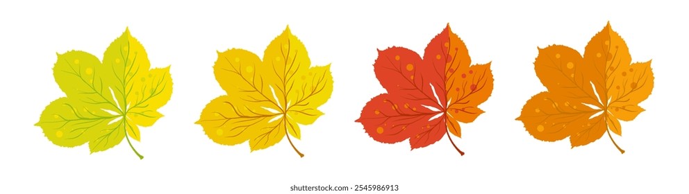 Autumn chestnut leaves yellow red and orange - vector illustration
