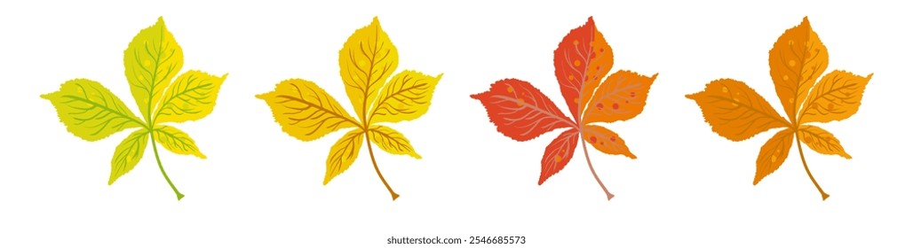 Autumn chestnut leaves yellow red and orange - vector illustration