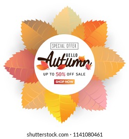 autumn circle leaf vector illustration background with autumn special offer sale