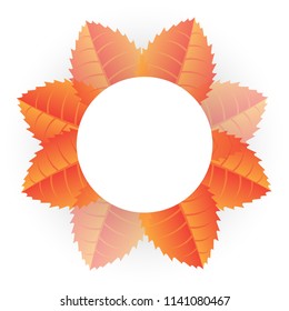 autumn circle leaf vector illustration background with autumn special offer sale