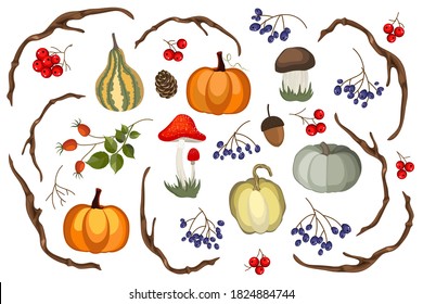 Autumn clipart from different elements. Set for thanksgiving decoration. Vector illustration.