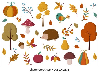 Autumn clipart set. Collection of autumn illustrations and design elements