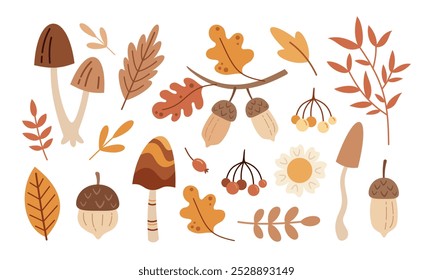 Autumn clipart set with fall leaves, mushrooms, flowers, acorns. Pastel hand drawn seasonal illustration