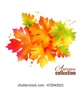 Autumn collection