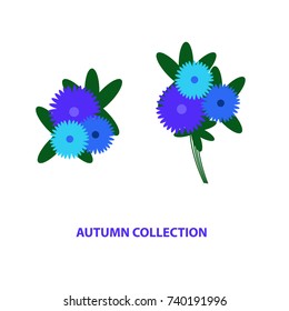 autumn collection