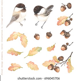 Autumn Collection of birds Black-capped Chickadee, acorns, oak branches and leaves. Vector illustration in vintage watercolor style.