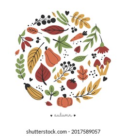Colección otoñal en forma de círculo: frutas, hojas, flores, verduras. Dibujar a mano conjunto en colores verde, rojo, amarillo y naranja. Ilustración del vector