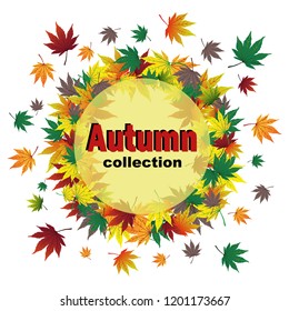 Autumn collection of colorful leaves in the shape of a circle
