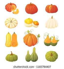 40,126 Pumpkin Plant Drawing Images, Stock Photos & Vectors | Shutterstock