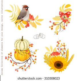 Autumn Collection of design decorations with pumpkins, branches rowan and Oriental Bittersweet, bird and sunflower, vector set 1.