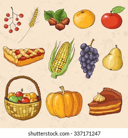 Autumn collection of elements of autumn fruits and vegetables for thanksgiving day: pumpkin, apple, orange, grapes, corn, pumpkin pie, nuts, pear, fruit basket, berries, wheat