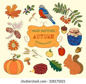Autumn Collection of elements for your design with pumpkins, sunflower, leaves, cones, acorns, ears, branches of rowan, blueberries, hedgehog, squirrel, bullfinch, apple, pepper and jam-jar. Vector.