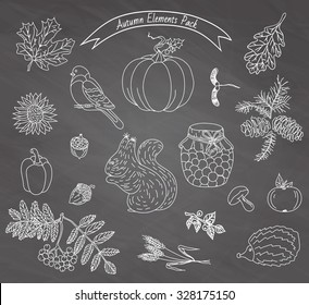 Autumn Collection of elements for your design with pumpkins, sunflower, leaves, cones, acorns, ears, branches of rowan, blueberries, hedgehog, squirrel, bullfinch, apple, pepper and jam-jar, vector 