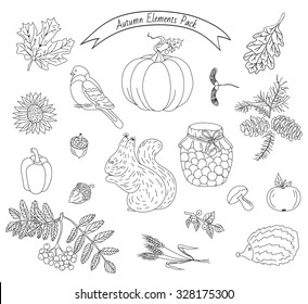 Autumn Collection of elements for your design with pumpkins, sunflower, leaves, cones, acorns, ears, branches of rowan, blueberries, hedgehog, squirrel, bullfinch, apple, pepper and jam-jar, vector