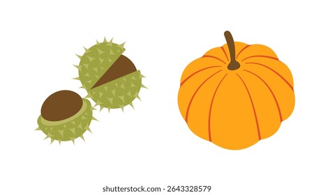 Autumn collection of flat vector elements: pumpkin, chestnuts. Hand drawn set for banners, cards, social media