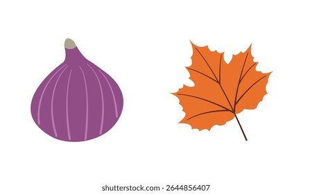 Autumn collection of flat vector elements: orange leaf, fig. Hand drawn set for banners, cards, social media